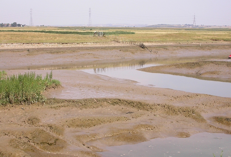 The Mud Flats.JPG
